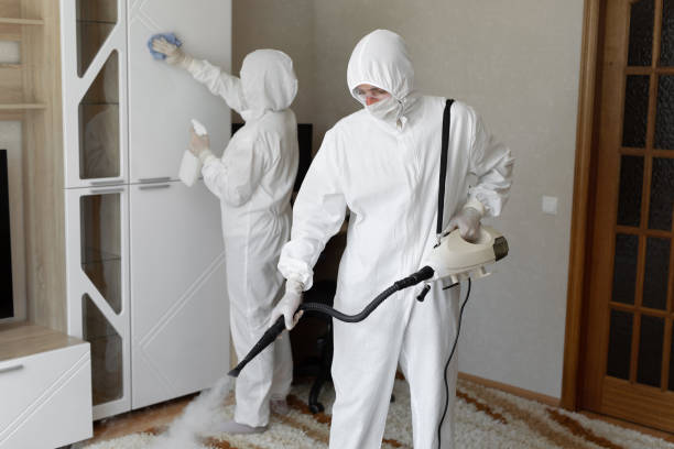 Professional Mold Remediation in Sallisaw, OK