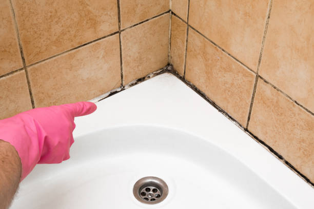 Best Residential Mold Remediation in Sallisaw, OK